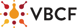 IT Dienstleistungen Dextra Data - VBCF